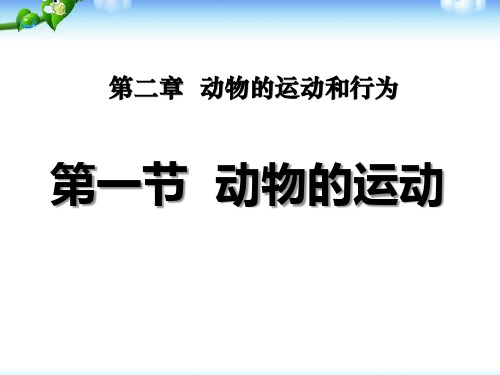 《动物的运动》动物的运动和行为8-人教版八年级生物上册PPT课件