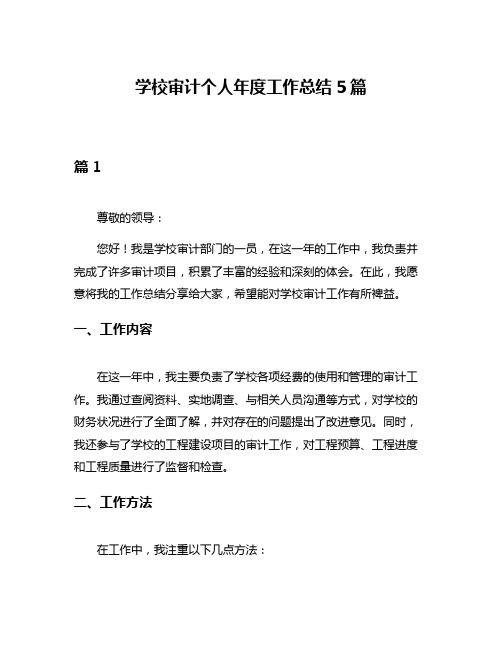 学校审计个人年度工作总结5篇