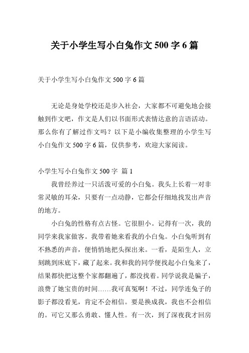 关于小学生写小白兔作文500字6篇