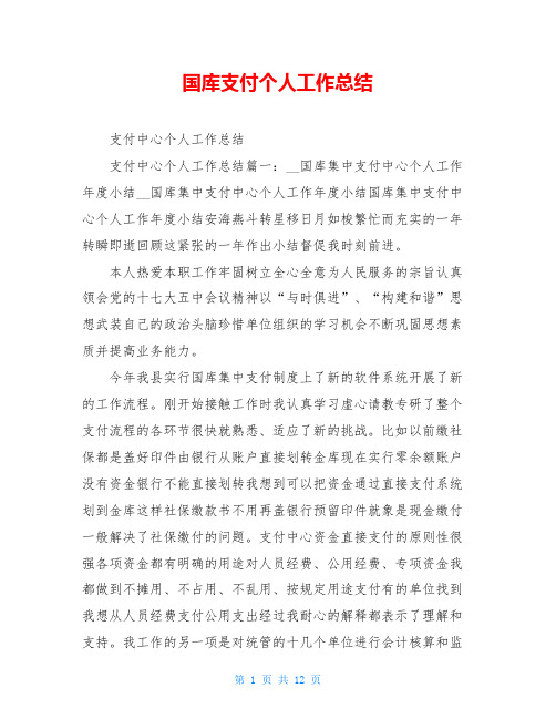 国库支付个人工作总结