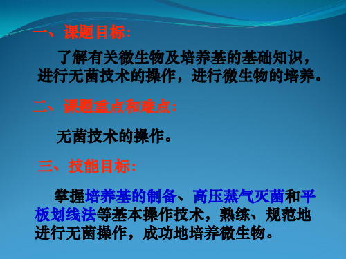 人教版选修1专题2课题1微生物实验室培养(共41张)