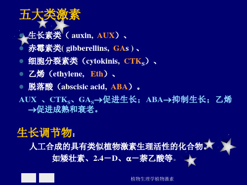 植物生理学植物激素课件