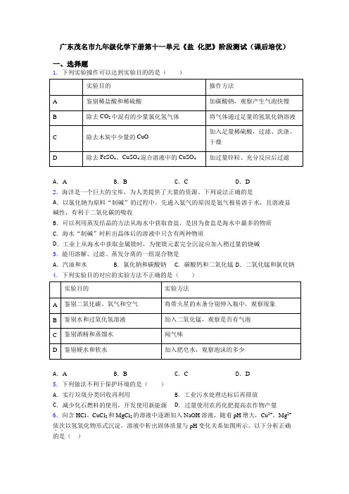 广东茂名市九年级化学下册第十一单元《盐 化肥》阶段测试(课后培优)