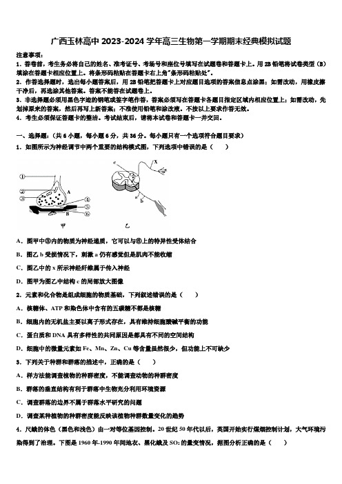 广西玉林高中2023-2024学年高三生物第一学期期末经典模拟试题含解析