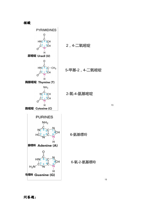 普通生物化学核酸、酶学知识点