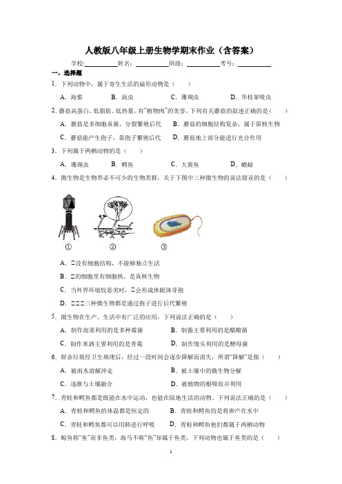 人教版八年级上册生物学期末作业(含答案)