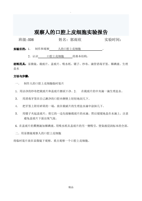 观察人的口腔上皮细胞实验报告