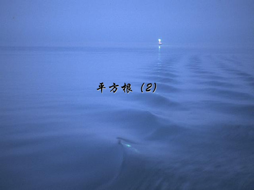 人教版七年级数学下册第六章《平方根(2)》优质课课件 (3)