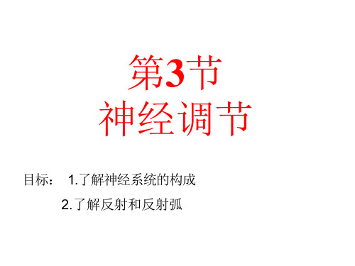 八年级科学3-3 神经调节课件