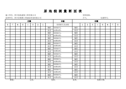 原地貌复测用表