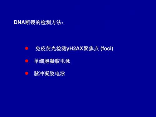 电离辐射的细胞学效应