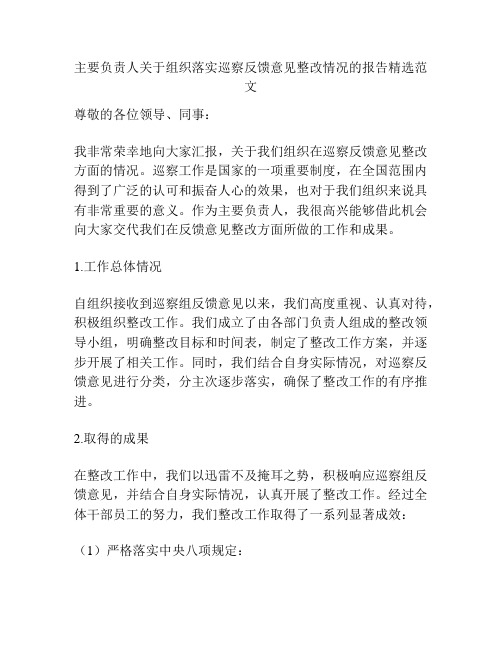 主要负责人关于组织落实巡察反馈意见整改情况的报告精选范文