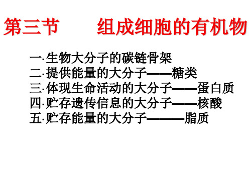 核酸、蛋白质、糖类、脂质