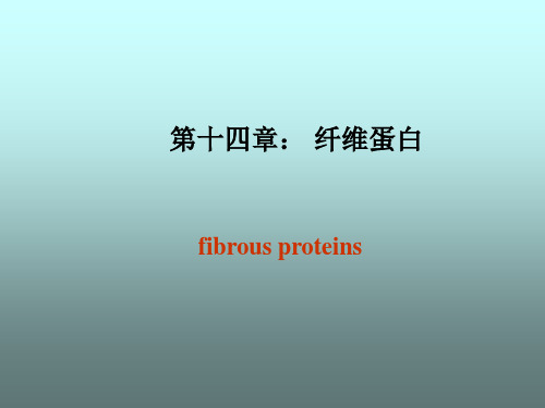 生物大分子结构与功能第14章纤维蛋白剖析