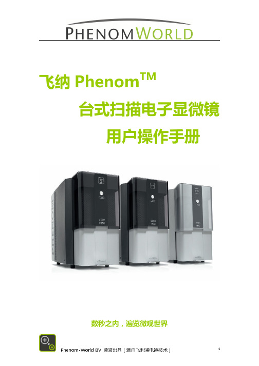 Phenom电镜用户手册