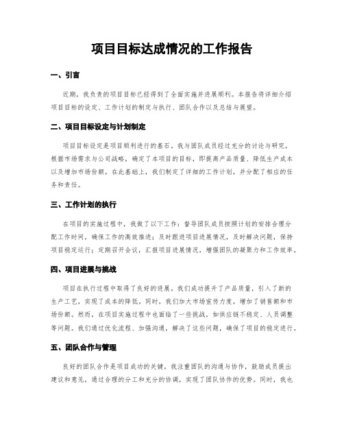 项目目标达成情况的工作报告