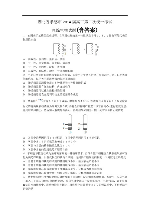 湖北省孝感市2014届高三第二次统一考试生物试题 含答案