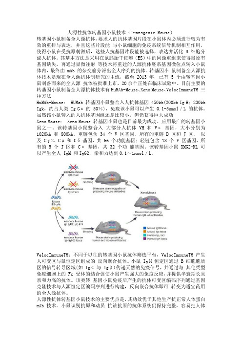 人源性抗体转基因小鼠技术(Transgenic Mouse)