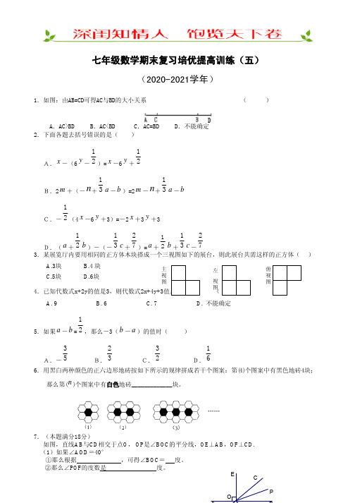 七年级数学期末复习培优提高训练(五)