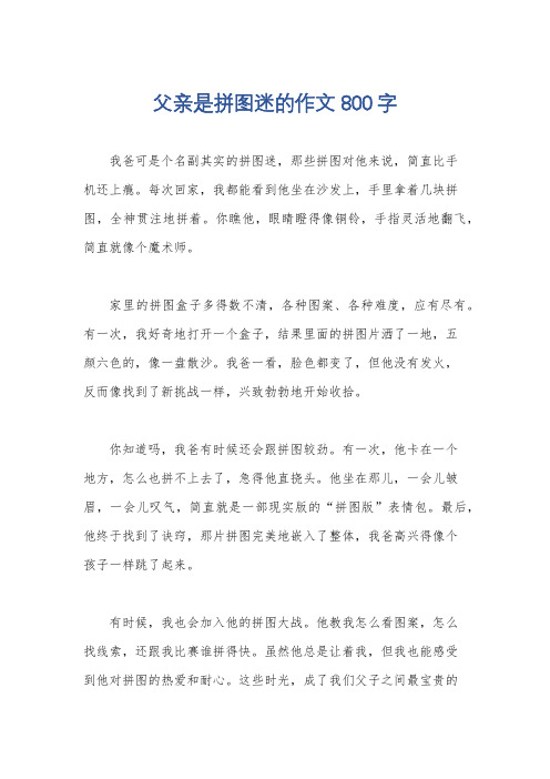 父亲是拼图迷的作文800字