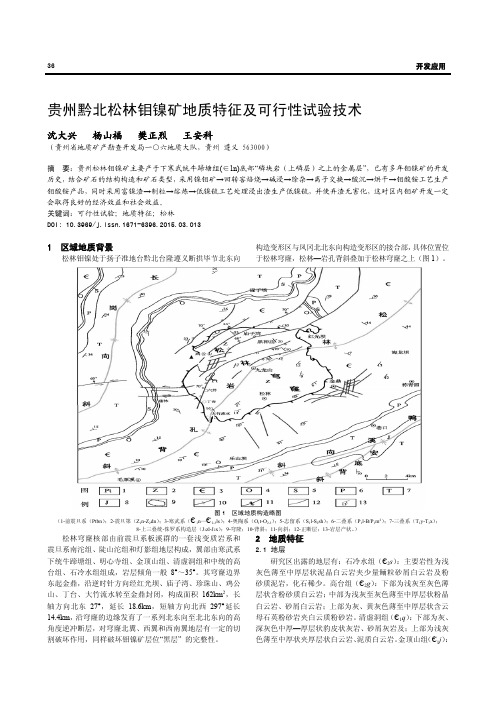 贵州黔北松林钼镍矿地质特征及可行性试验技术