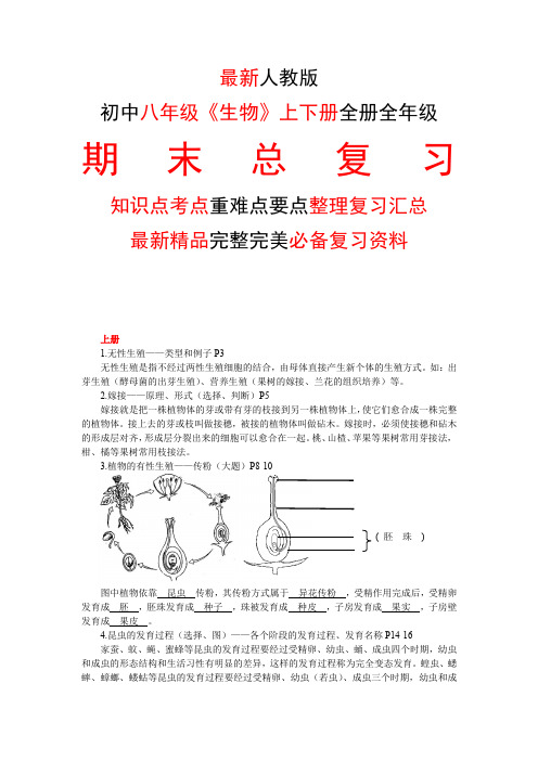 最新人教版初中八年级《生物》上下册全册全年级期末总复习知识点考点整理复习汇总完整完美精品打印版