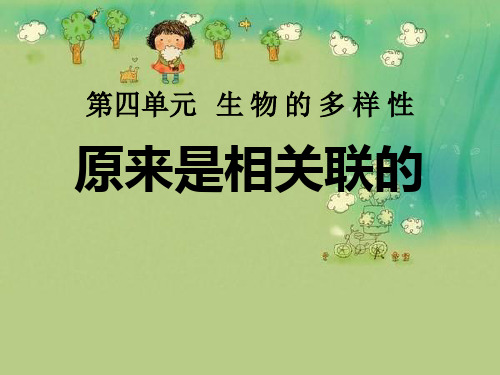 《原来是相关联的》生物的多样性PPT课件三