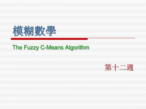 The Fuzzy C-Means Algorithm