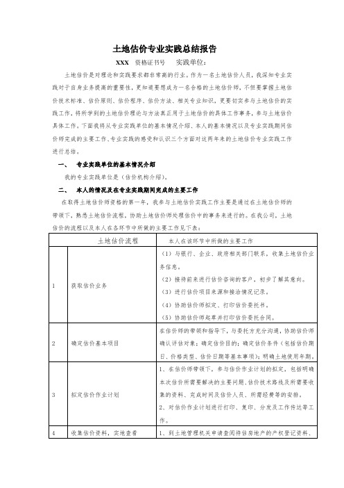 土地估价师个人专业实践总结报告