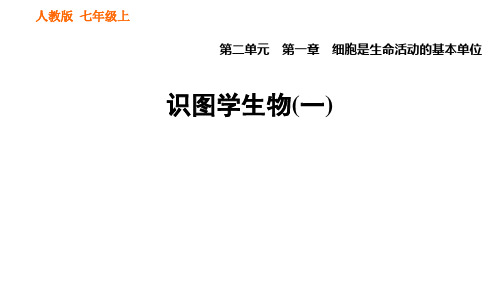 人教版7年级生物上册专项复习识图学生物