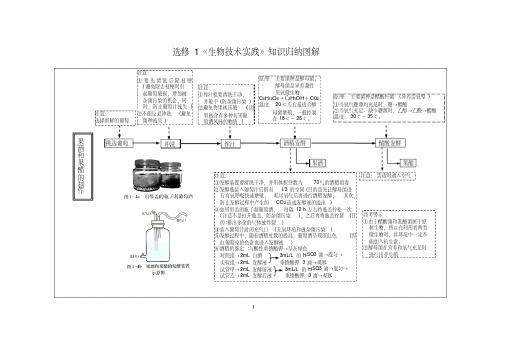 人教版生物选修1《生物技术实践》知识归纳图解