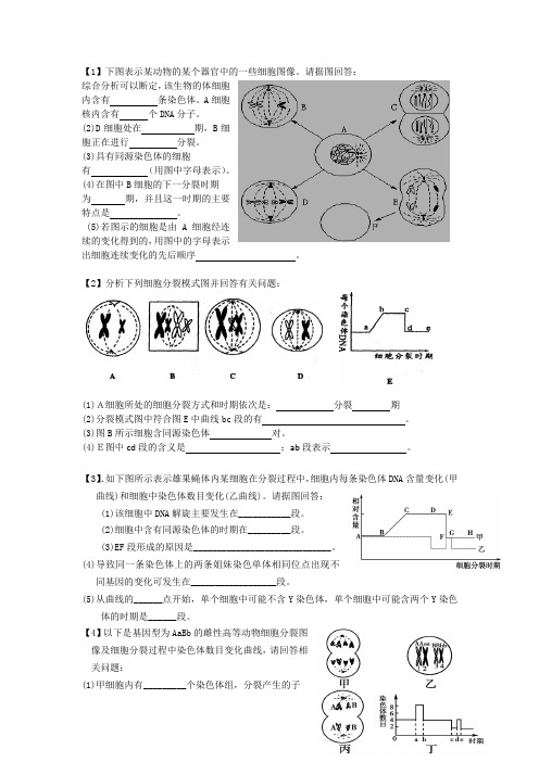 《减数分裂》习题精选