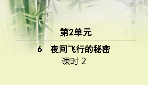 统编版四年级上册语文部编6夜间飞行的秘密第二课时课课练随堂练习PPT课件设计