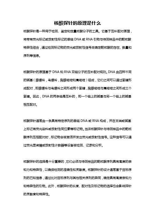 核酸探针的原理是什么