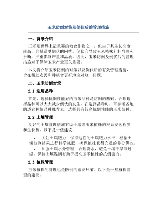 玉米防倒对策及倒伏后的管理措施