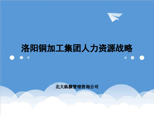 人力资源战略-北大纵横洛阳铜加工集团人力资源战略报告 精品