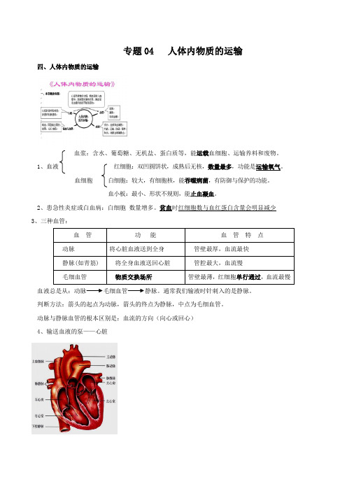 专题04 人体内物质的运输(知识梳理)-七年级下册生物考点大串讲(人教版)