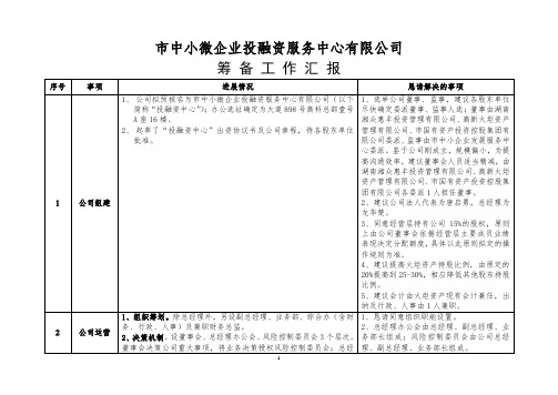 筹备工作汇报(中小微企业投融资服务中心有限公司)