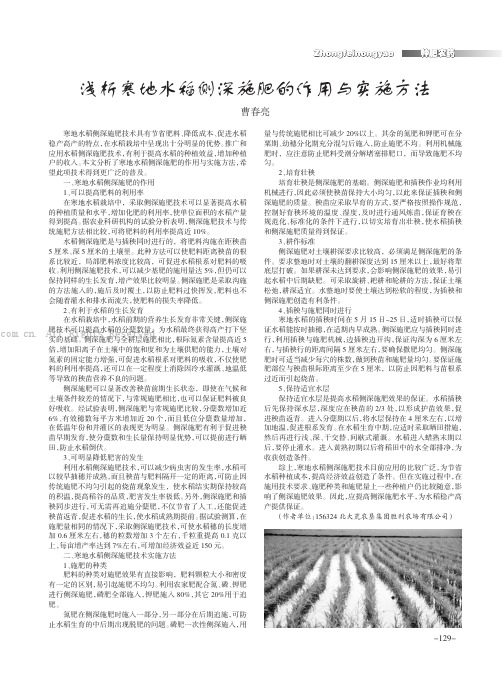 浅析寒地水稻侧深施肥的作用与实施方法