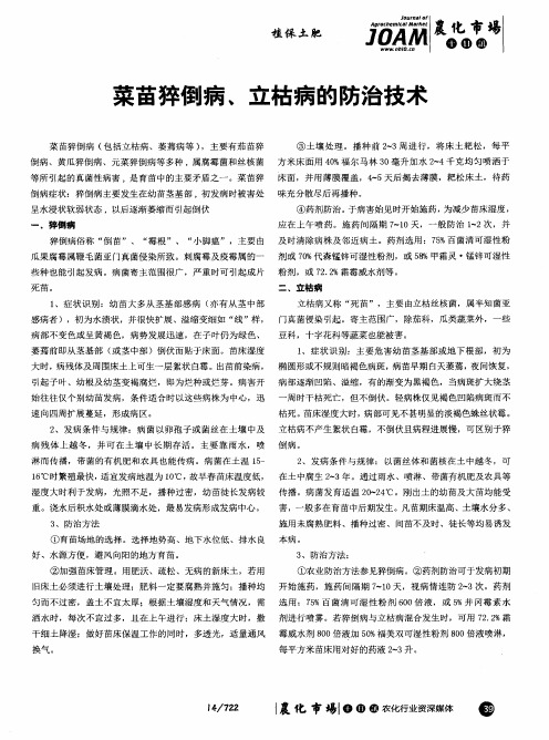 菜苗猝倒病、立枯病的防治技术