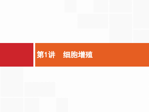 2019高三生物(苏教版)一轮课件：4.1 细胞增殖 