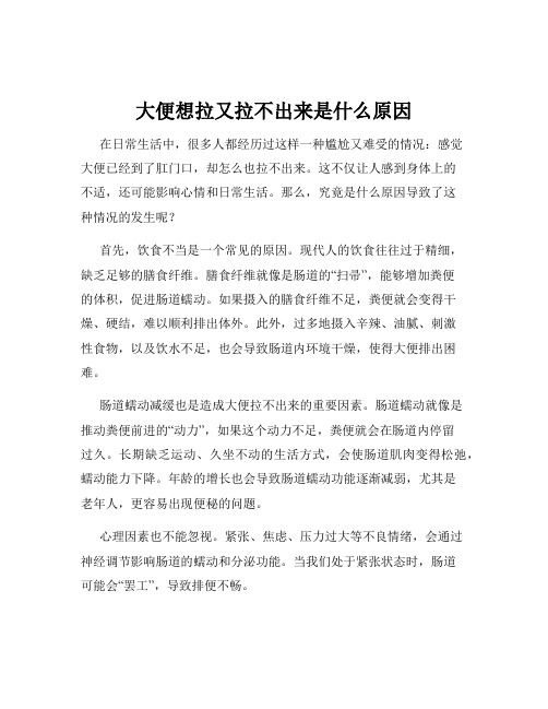 大便想拉又拉不出来是什么原因