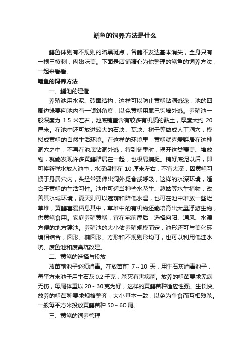 鳝鱼的饲养方法是什么