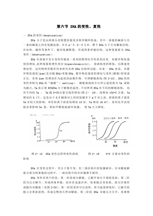 第六节-DNA的变性、复性