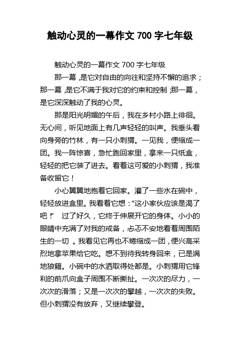 触动心灵的一幕作文700字七年级