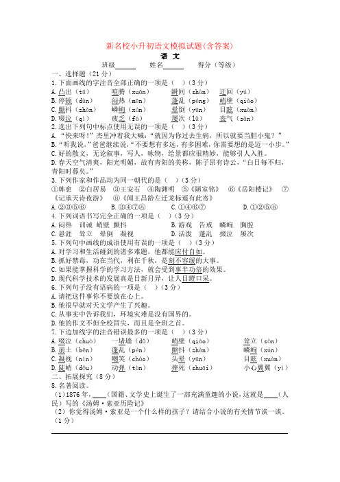 最新重点初中、外国语学校小升初语文模拟试题【6套试卷】