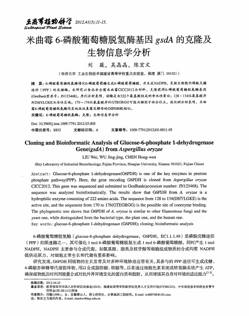 米曲霉6-磷酸葡萄糖脱氢酶基因gsdA的克隆及生物信息学分析