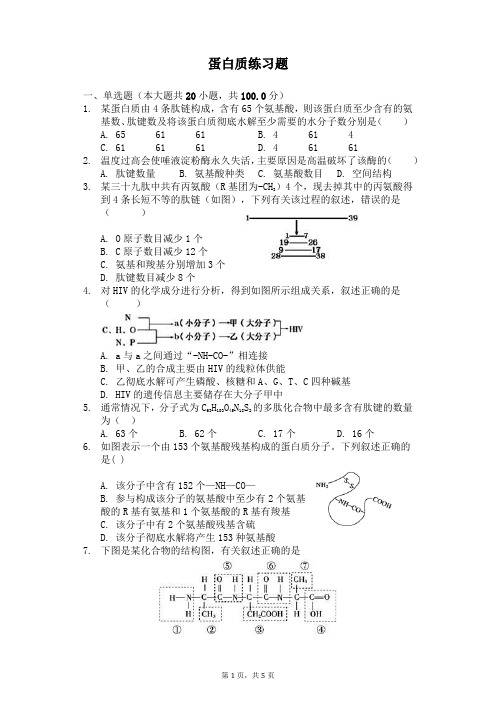 蛋白质的生物合成习题与参考答案_蛋白质练习题