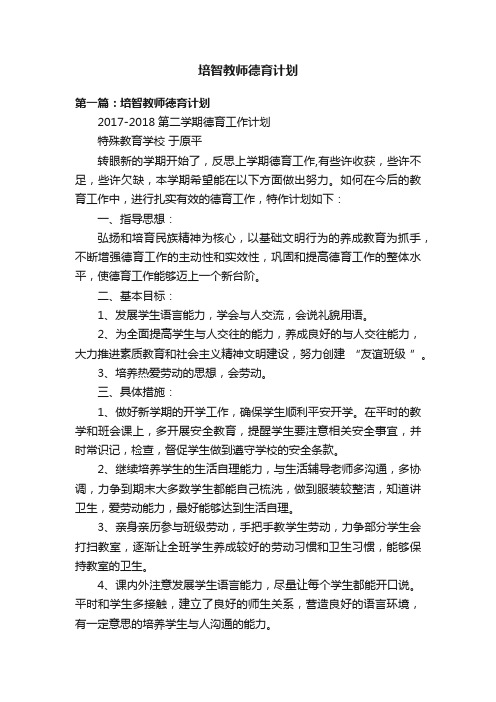 培智教师德育计划