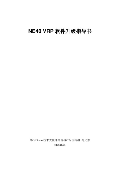 NE40VRP软件升级指导书